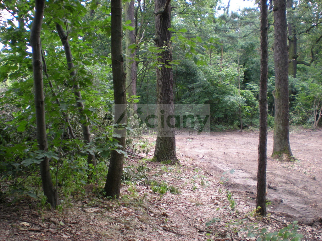 Działka budowlana 3060 m², Warszawa - zdjęcie 4