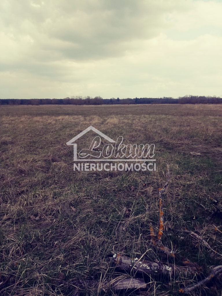 Działka rolna 3219&nbsp;m², Łęgi - zdjęcie 1