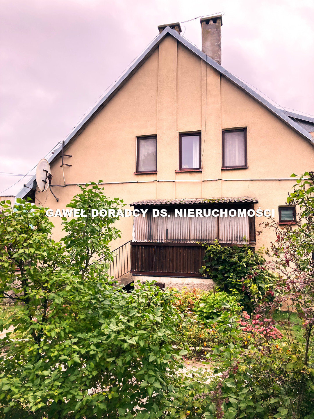 Połówka bliźnika obok Ełku - zdjęcie 3