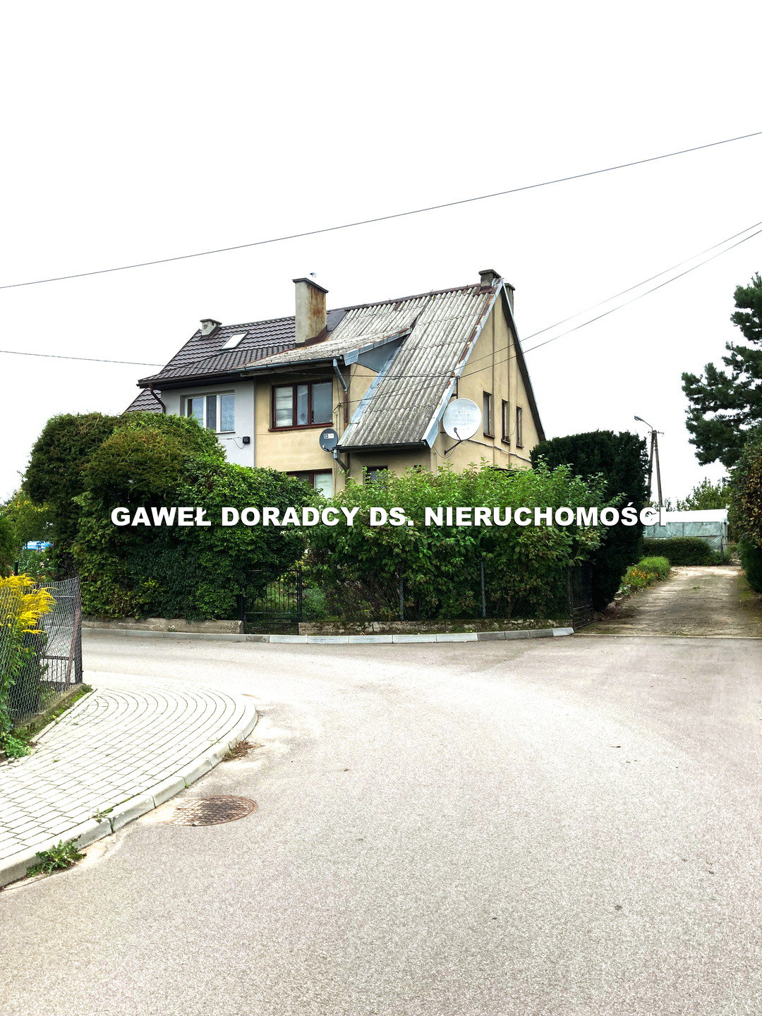 Połówka bliźnika obok Ełku - zdjęcie 1