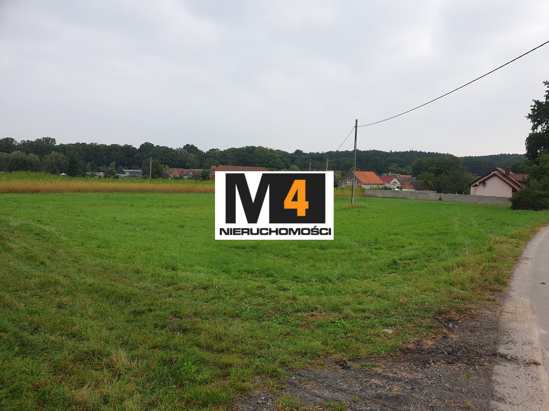 Działka budowlana 42,5 ar, Małaszowice ! Super lokalizacja ! - zdjęcie 1