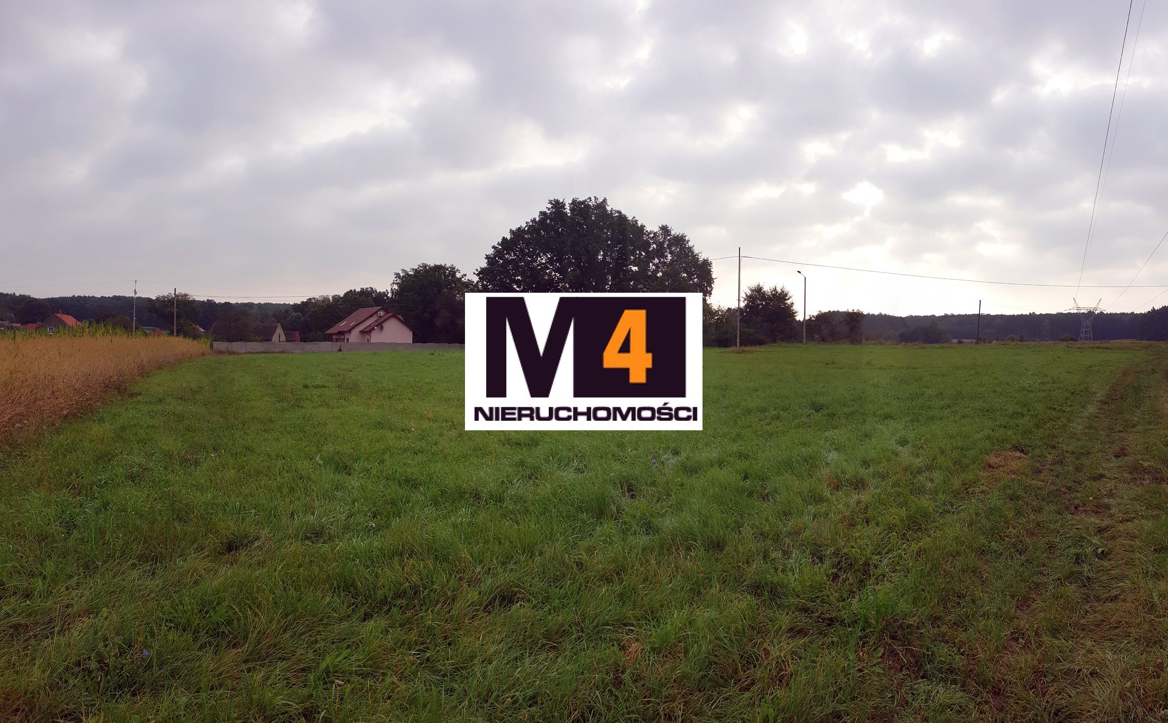 Działka budowlana 42,5 ar, Małaszowice ! Super lokalizacja ! - zdjęcie 3