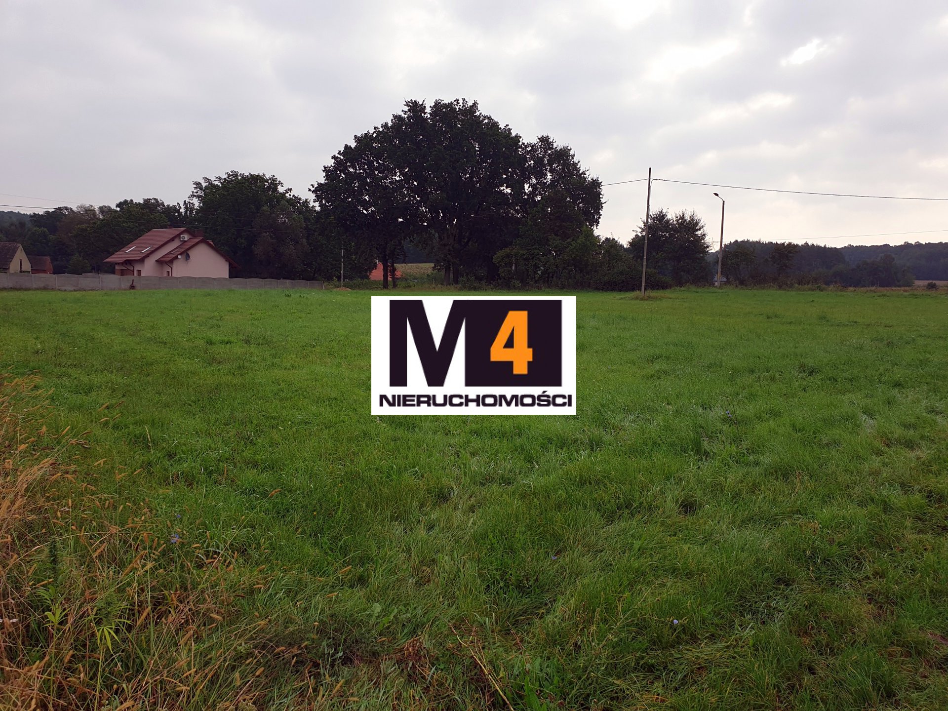 Działka budowlana 42,5 ar, Małaszowice ! Super lokalizacja ! - zdjęcie 2