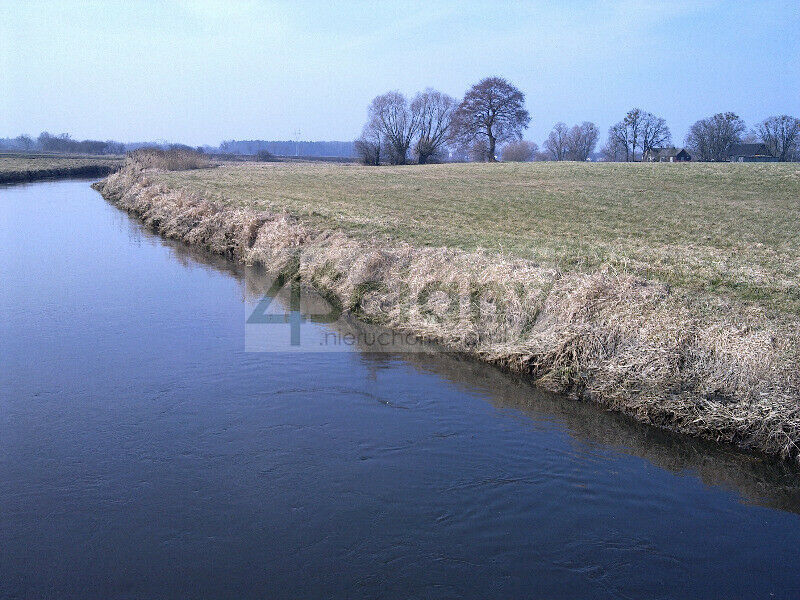 Działka rolna 7855&nbsp;m², Cholewy - zdjęcie 2