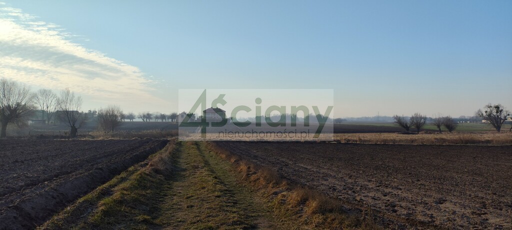 Działka rolna 7855&nbsp;m², Cholewy - zdjęcie 4