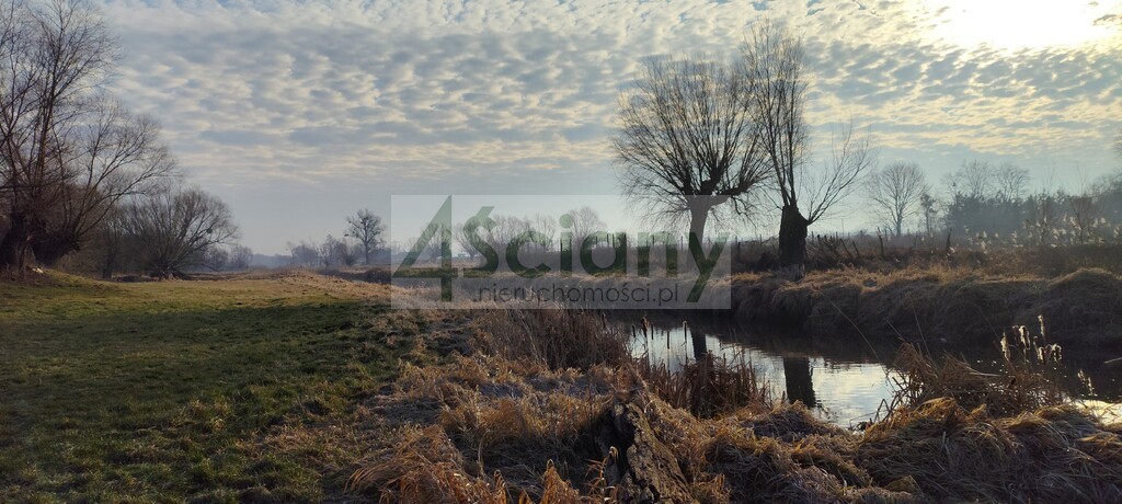Działka rolna 7855&nbsp;m², Cholewy - zdjęcie 1