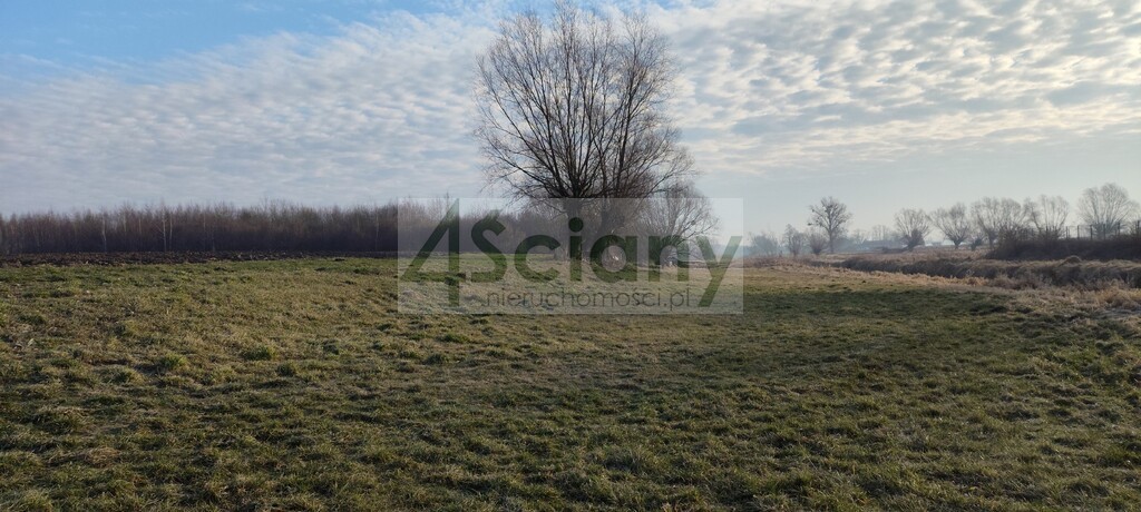Działka rolna 7855&nbsp;m², Cholewy - zdjęcie 5