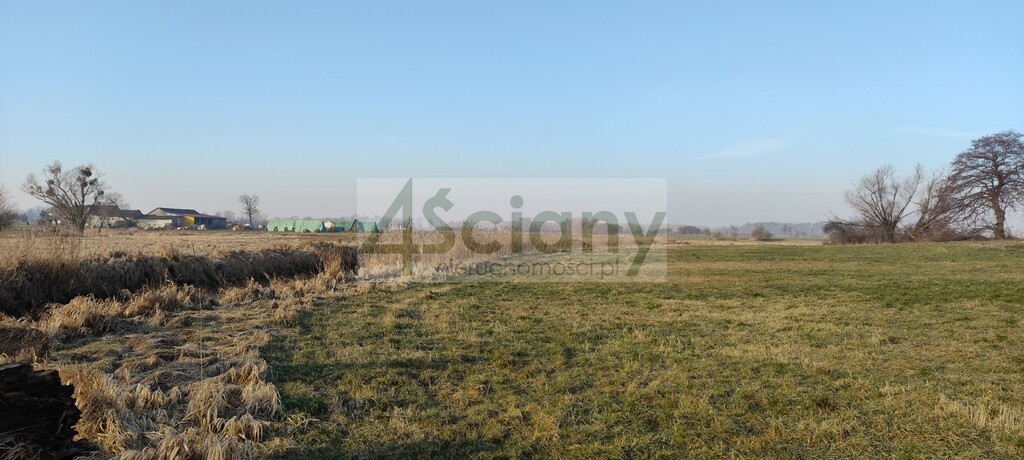 Działka rolna 7855&nbsp;m², Cholewy - zdjęcie 3