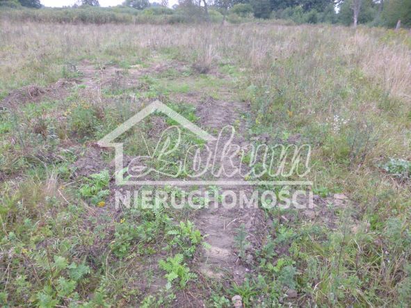Działka inwestycyjna 1,43 ha, Kobylanka - zdjęcie 4