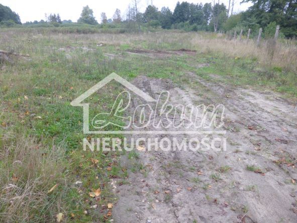 Działka inwestycyjna 1,43&nbsp;ha, Kobylanka - zdjęcie 1