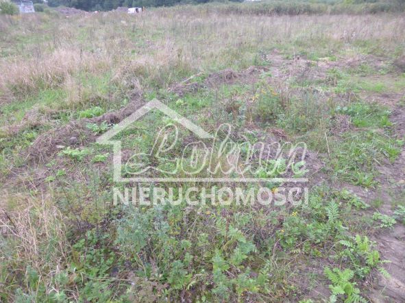 Wynajmę działkę 14300&nbsp;m², Kobylanka - zdjęcie 5