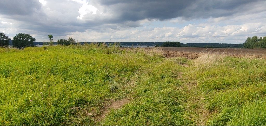 Działka budowlana 3011&nbsp;m², Węgielsztyn - zdjęcie 7