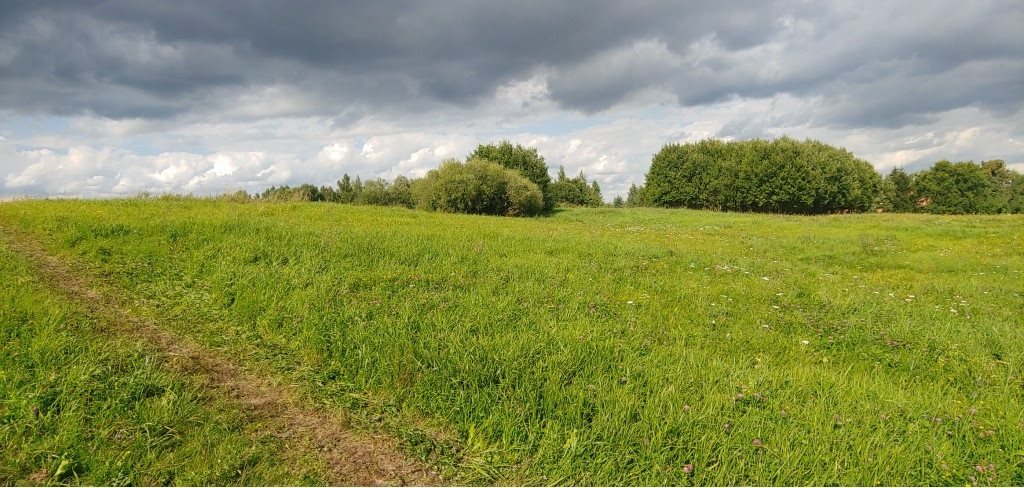 Działka budowlana 3011&nbsp;m², Węgielsztyn - zdjęcie 6