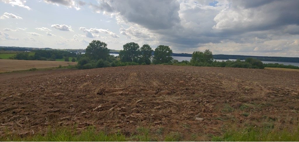 Działka budowlana 3011&nbsp;m², Węgielsztyn - zdjęcie 5