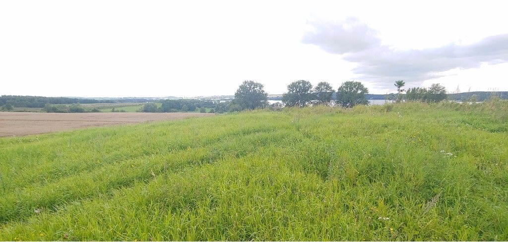 Działka budowlana 3011&nbsp;m², Węgielsztyn - zdjęcie 9