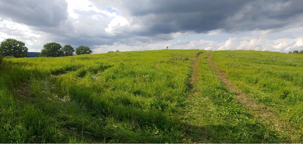 Działka budowlana 3011&nbsp;m², Węgielsztyn - zdjęcie 8