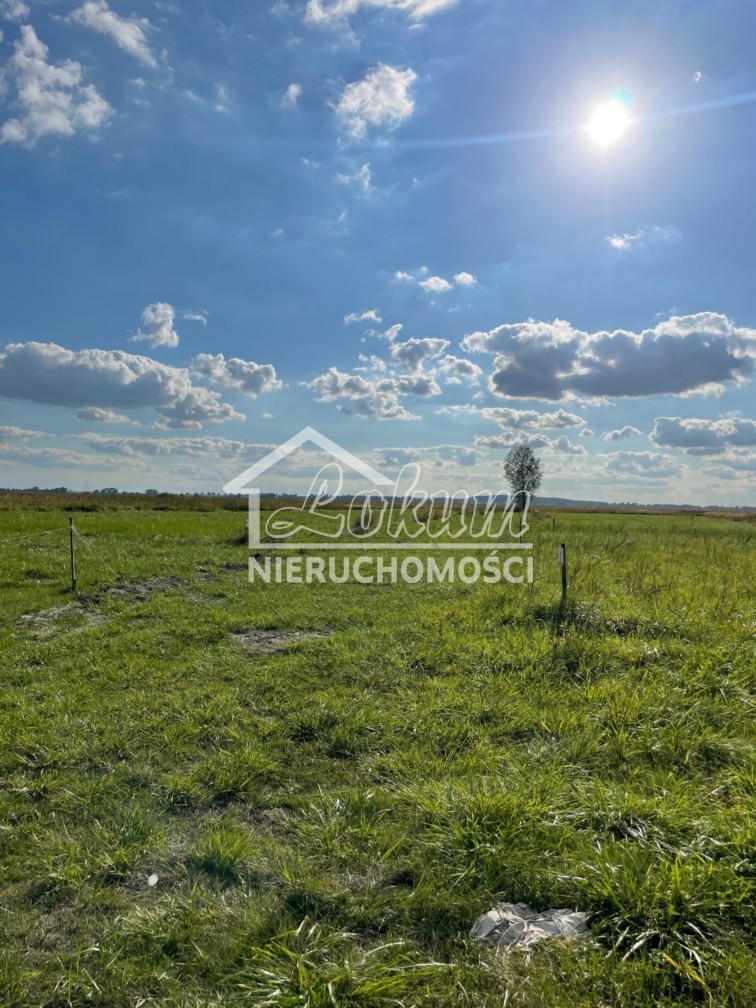 Działka rekreacyjna 500&nbsp;m², Wierzbno - zdjęcie 1