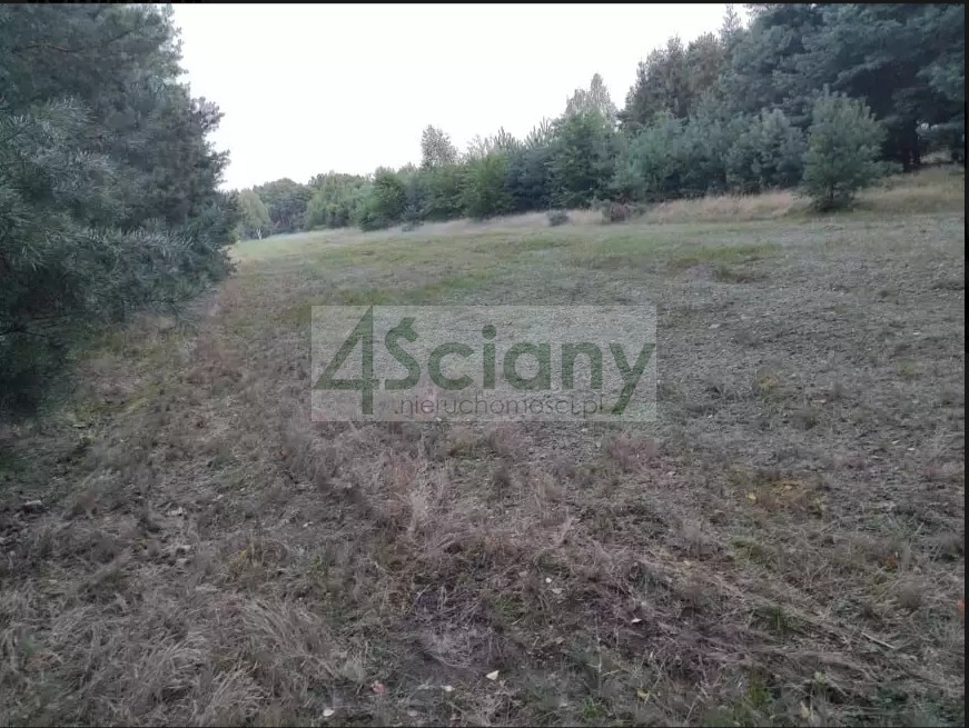 Działka rekreacyjna 3000&nbsp;m², Arciechów - zdjęcie 9