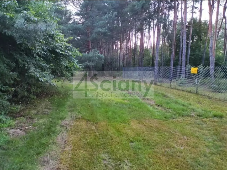 Działka rekreacyjna 3000&nbsp;m², Arciechów - zdjęcie 13