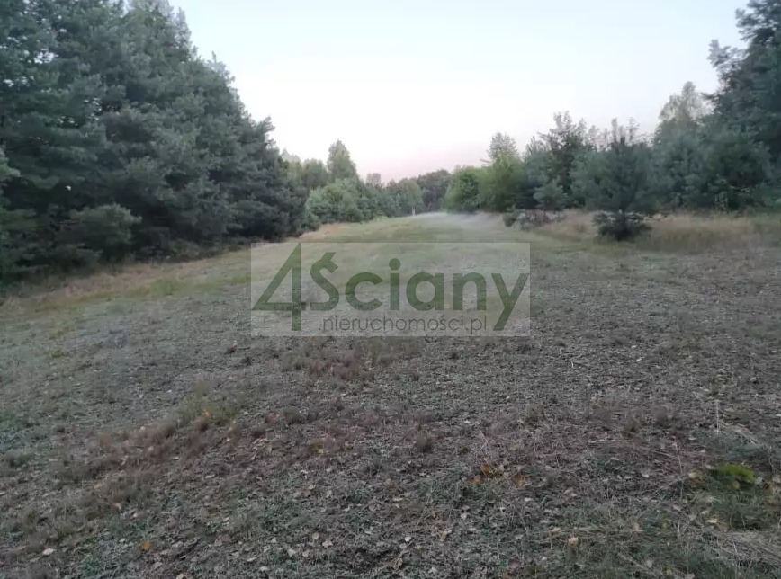 Działka rekreacyjna 3000&nbsp;m², Arciechów - zdjęcie 2