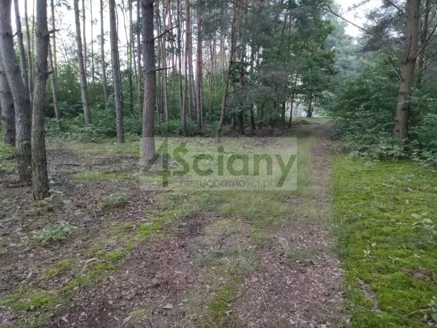 Działka rekreacyjna 3000&nbsp;m², Arciechów - zdjęcie 3