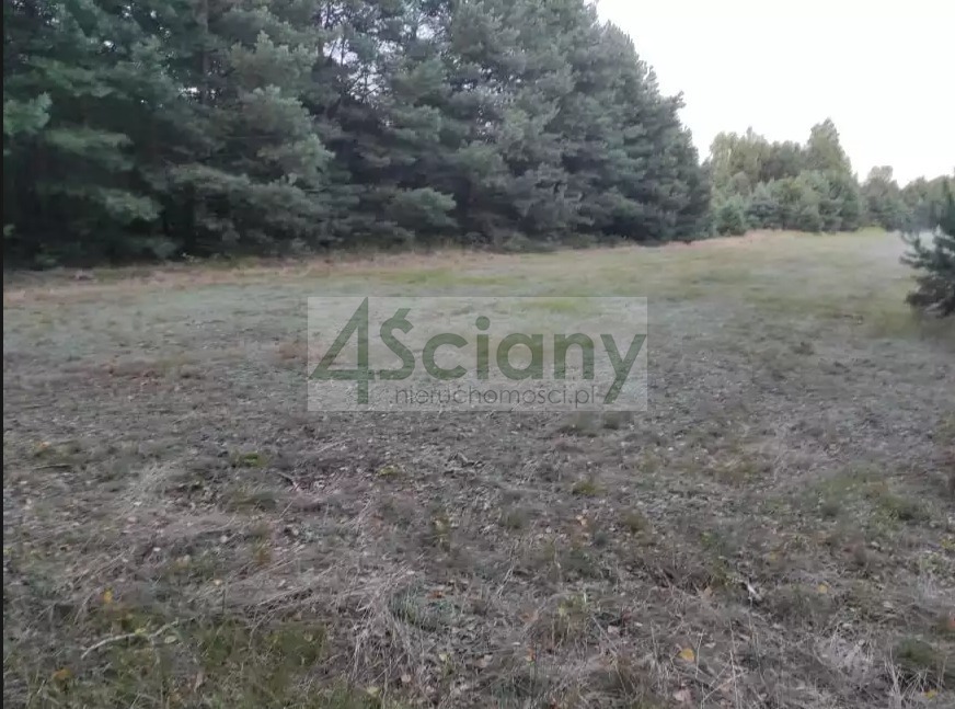Działka rekreacyjna 3000&nbsp;m², Arciechów - zdjęcie 7