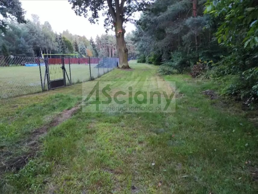 Działka rekreacyjna 3000&nbsp;m², Arciechów - zdjęcie 10