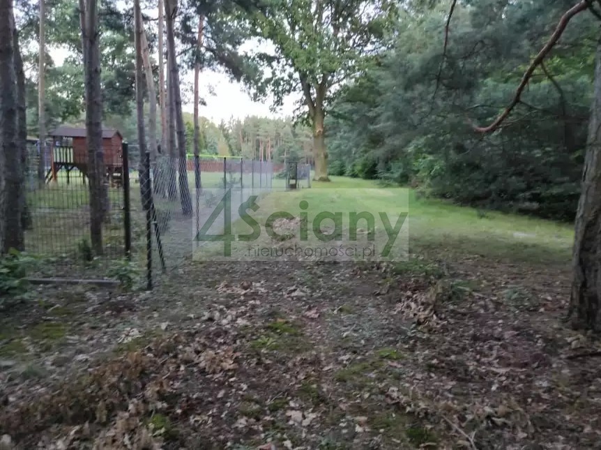 Działka rekreacyjna 3000&nbsp;m², Arciechów - zdjęcie 12