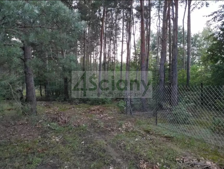 Działka rekreacyjna 3000&nbsp;m², Arciechów - zdjęcie 15