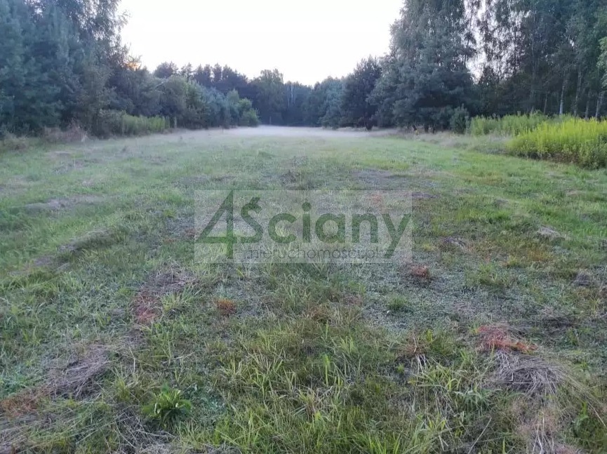 Działka rekreacyjna 3000&nbsp;m², Arciechów - zdjęcie 8