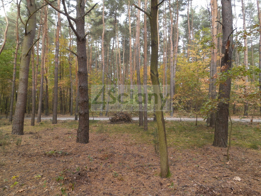 Działka budowlana 3440 m², Józefów - zdjęcie 5
