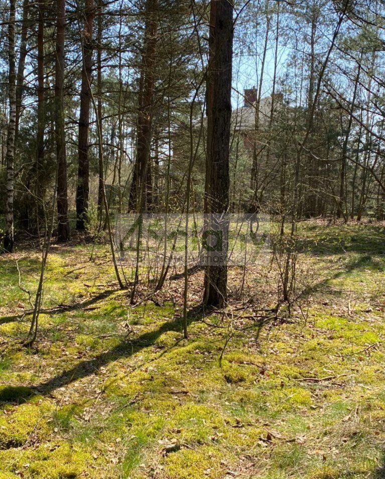 Działka budowlana 3440 m², Józefów - zdjęcie 1