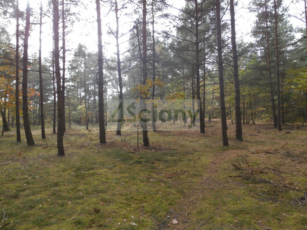 Działka budowlana 3440 m², Józefów - zdjęcie 4