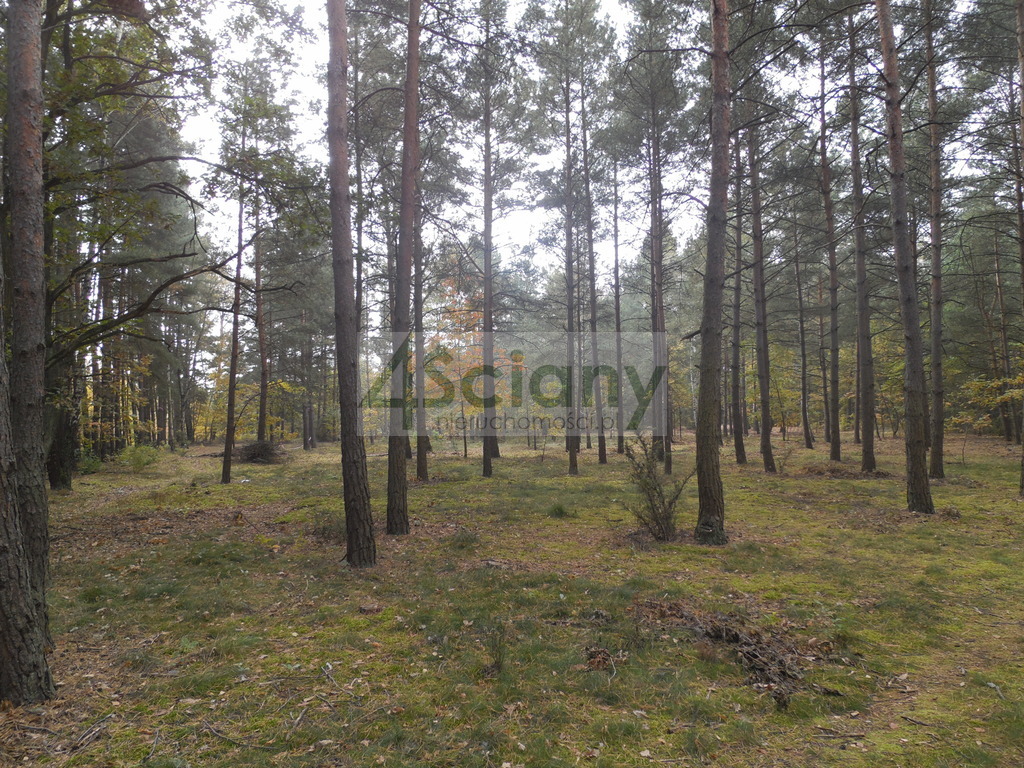 Działka budowlana 3440 m², Józefów - zdjęcie 2