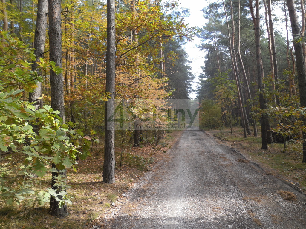 Działka budowlana 3440 m², Józefów - zdjęcie 6