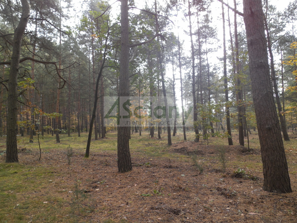 Działka budowlana 3440 m², Józefów - zdjęcie 7
