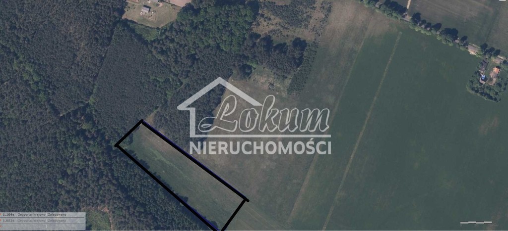 Działka rolna 1,97&nbsp;ha, Krzepocin - zdjęcie 3