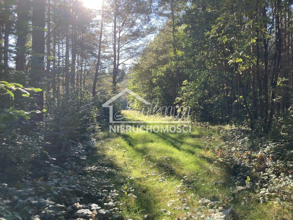 Działka rolna 1,97&nbsp;ha, Krzepocin - zdjęcie 5