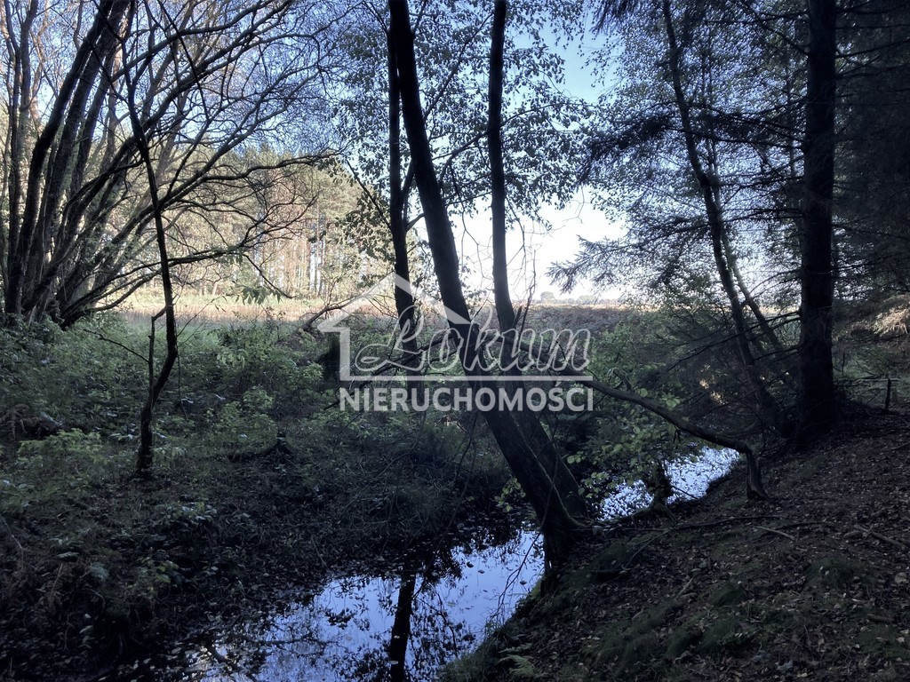 Działka rolna 1,97&nbsp;ha, Krzepocin - zdjęcie 4