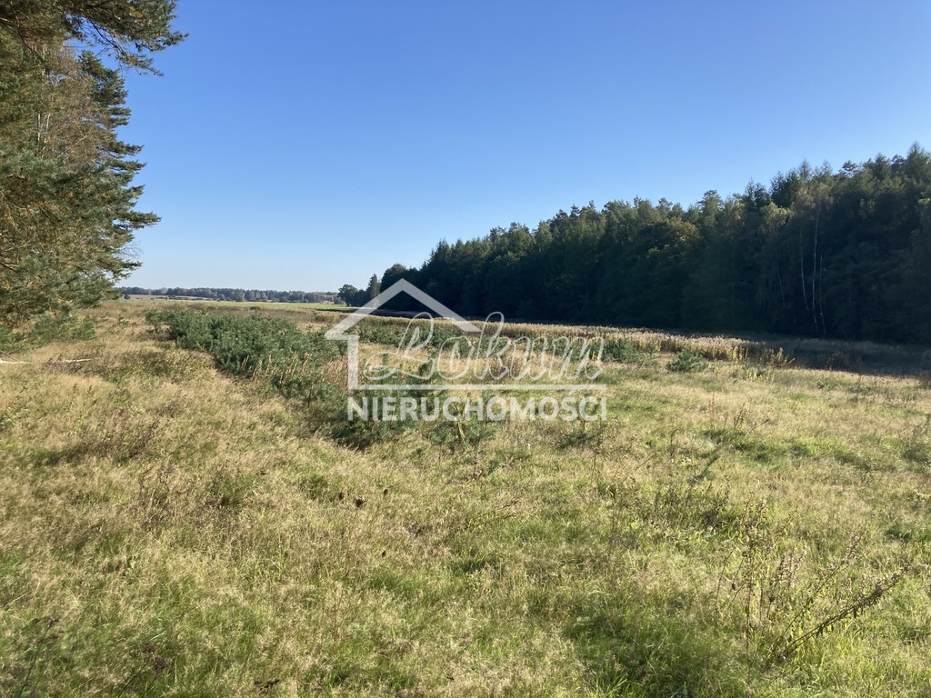Działka rolna 1,97&nbsp;ha, Krzepocin - zdjęcie 1