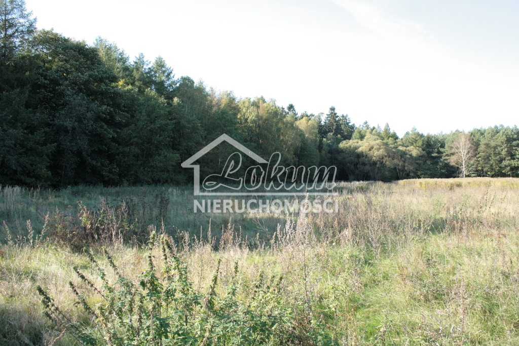 Działka rolna 1,97&nbsp;ha, Krzepocin - zdjęcie 2