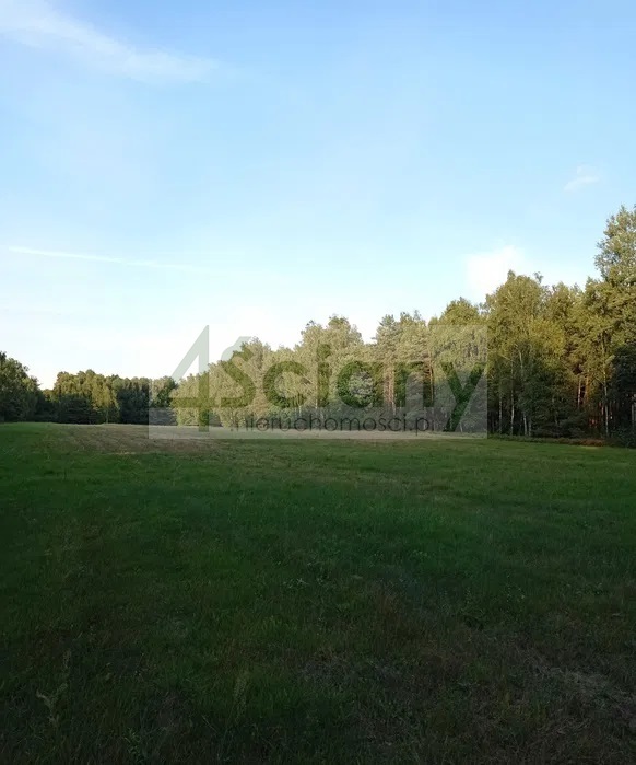Działka budowlana 3,50&nbsp;ha, Mościska - zdjęcie 1