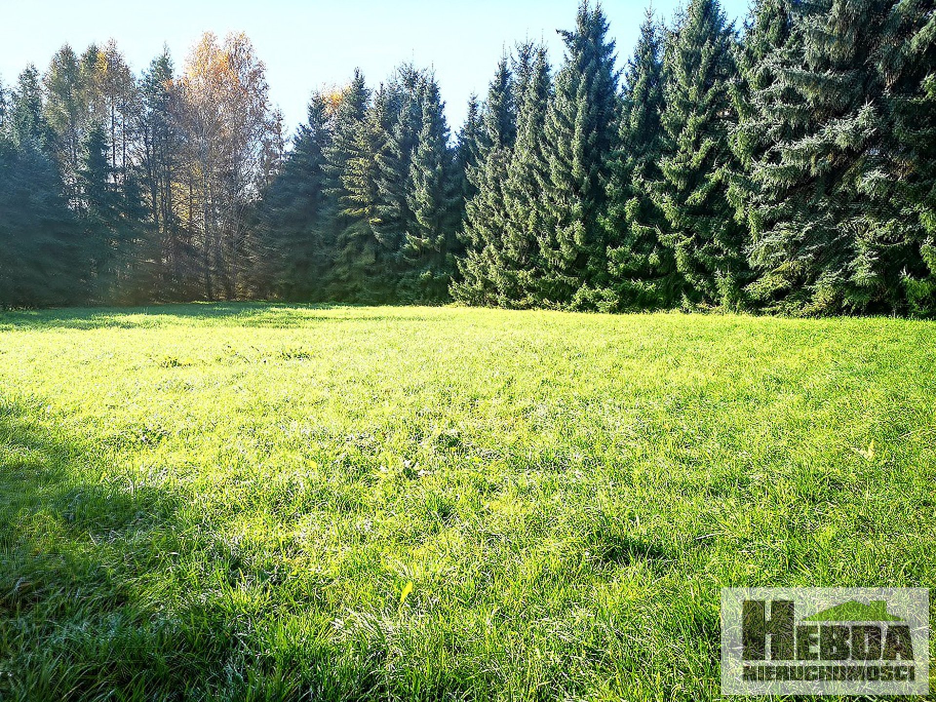 Brzozówka k. Tarnowa , dom z pięknym ogrodem 30 arów , potencjałem , 300 m2  ! - zdjęcie 6