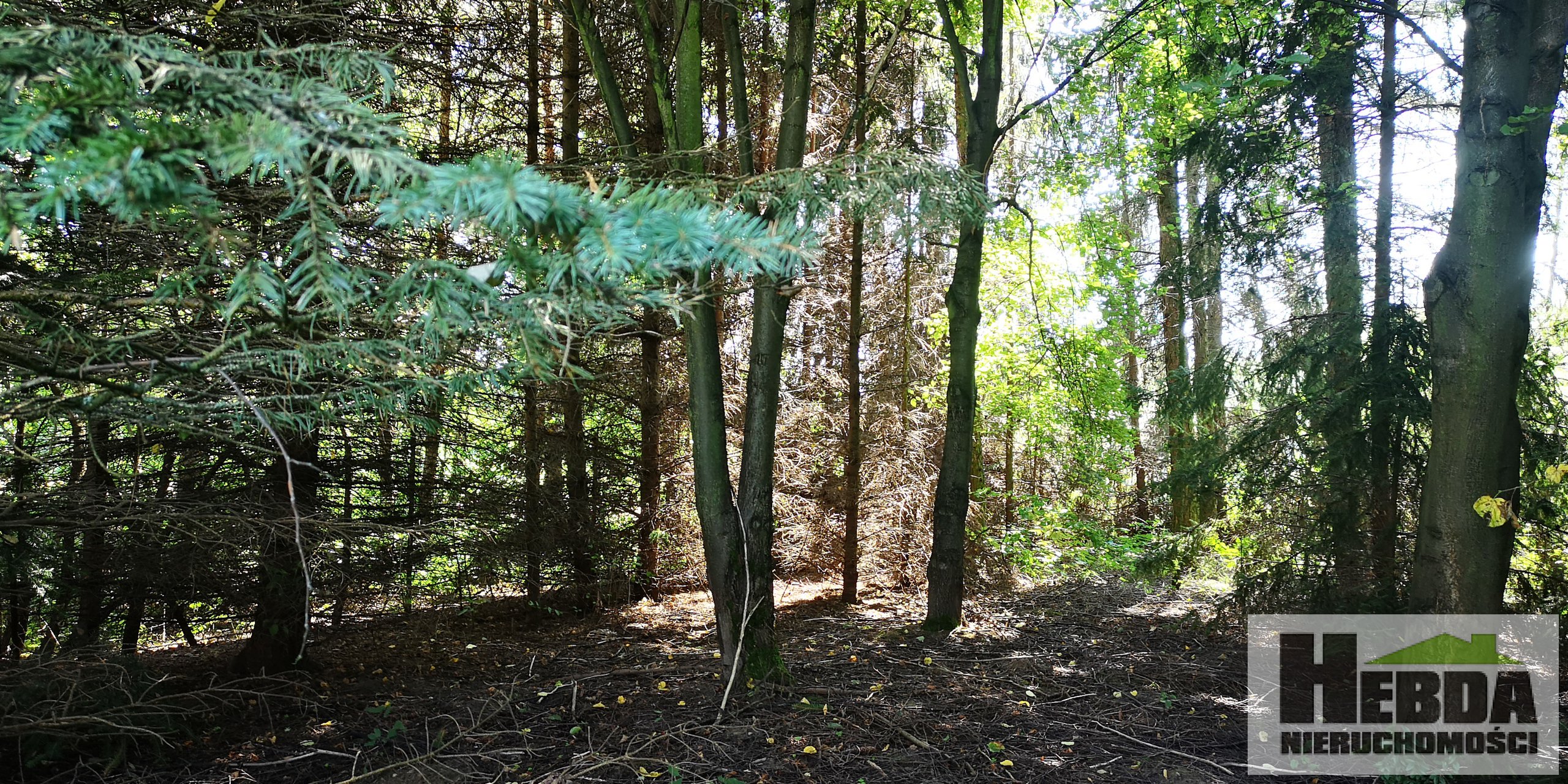 Brzozówka k. Tarnowa , dom z pięknym ogrodem 30 arów , potencjałem , 300 m2  ! - zdjęcie 17