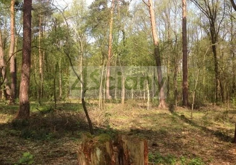 Działka budowlana 4630&nbsp;m², Sękocin-Las - zdjęcie 1