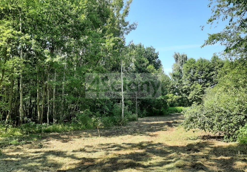 Działka budowlana 1600 m², Kady - zdjęcie 5
