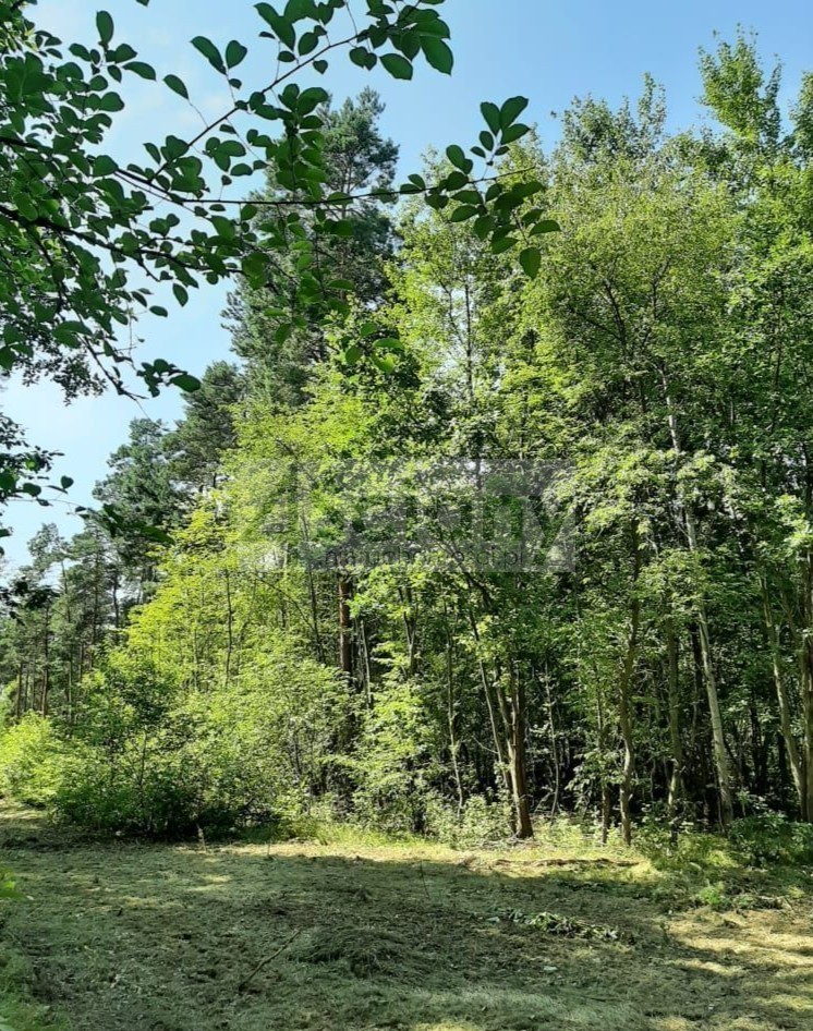 Działka budowlana 1600 m², Kady - zdjęcie 3