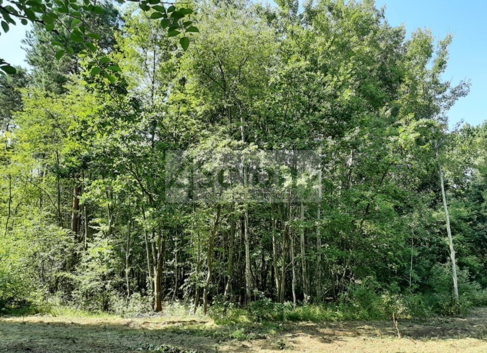 Działka budowlana 1600 m², Kady - zdjęcie 2