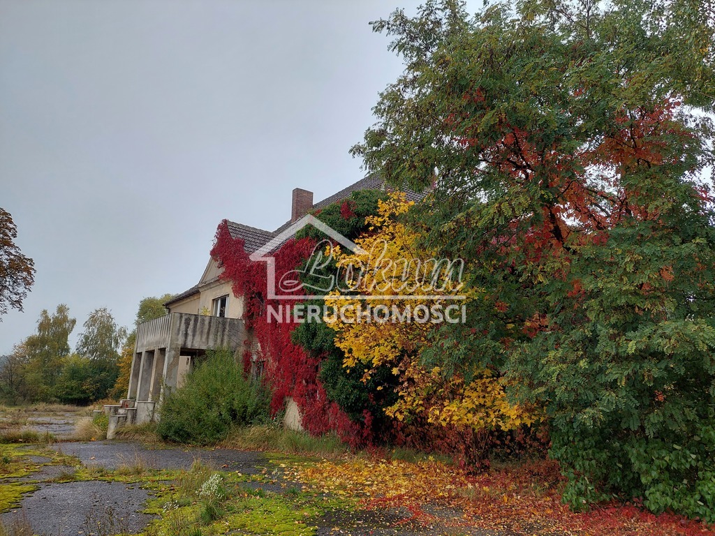 Działka rolna 12,29&nbsp;ha, Krzywiec - zdjęcie 1