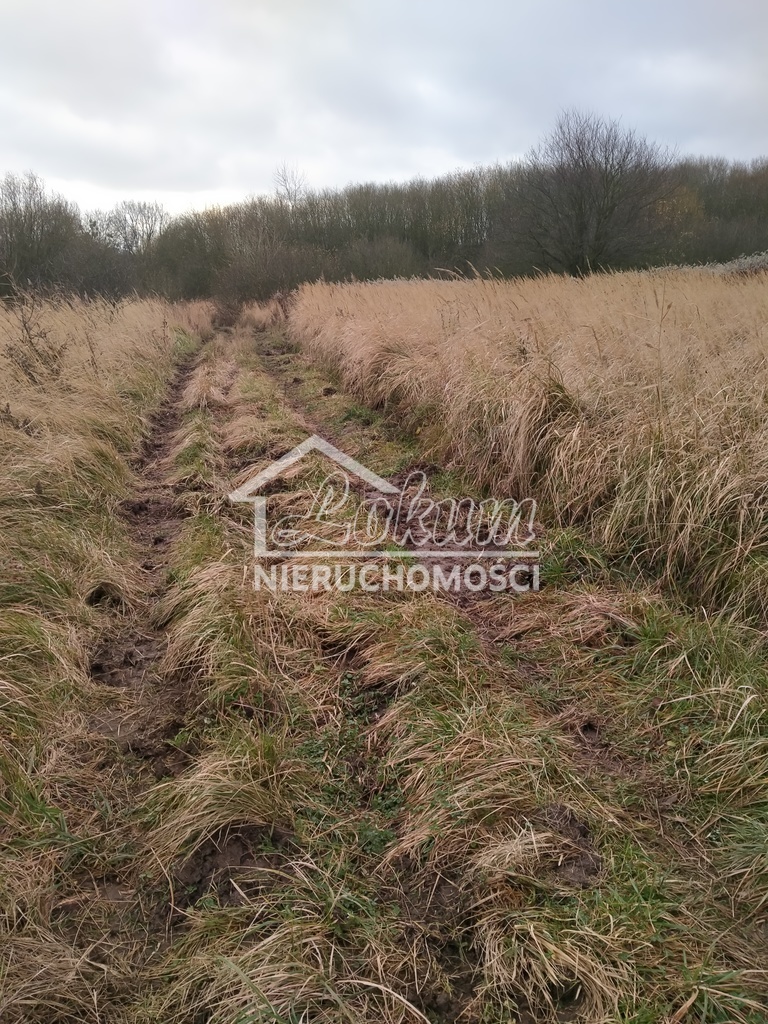 Działka rolna 3074&nbsp;m², Szczecin - zdjęcie 15